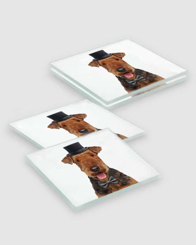 Airedale Terrier Dog Coasters