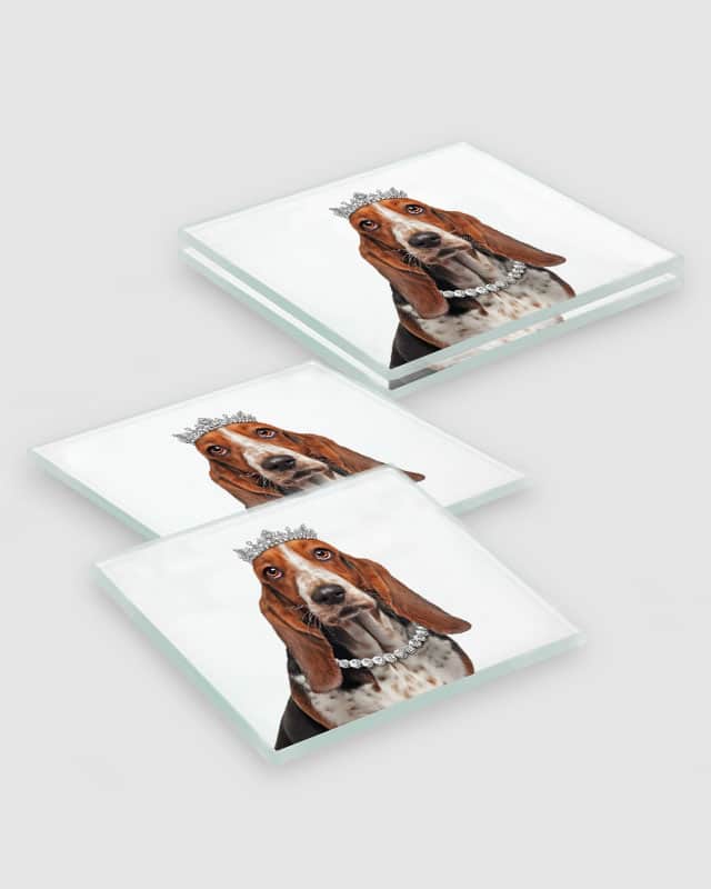 Basset Hound Dog Coasters