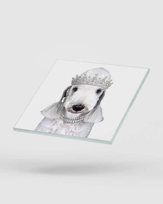 Bedlington Terrier Dog Coasters