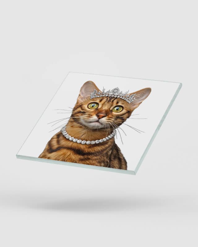 Bengal Cat Coasters