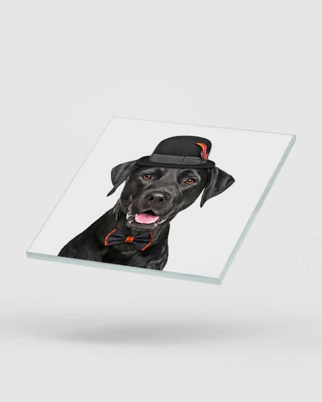 Black Labrador Dog Coasters