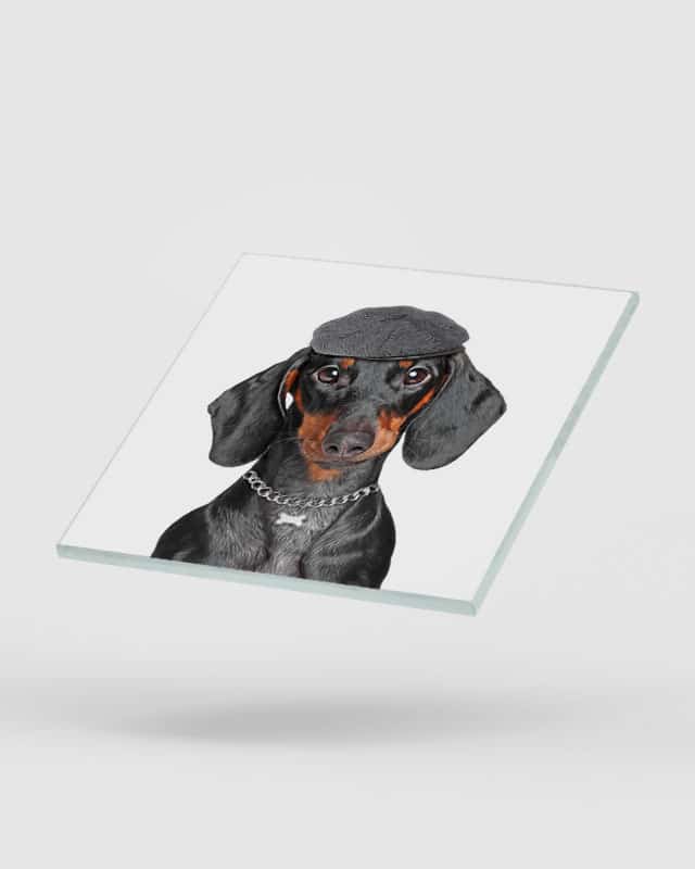 Black & Tan Dachshund Dog Coasters