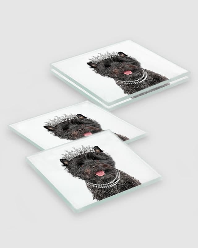 Cairn Terrier Dog Coasters