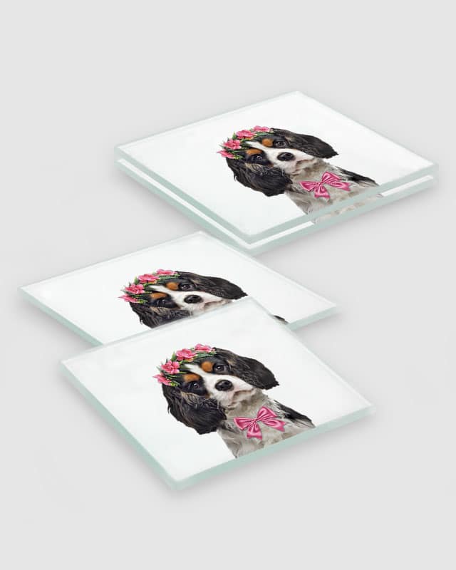 Cavalier King Charles Spaniel Dog Coasters