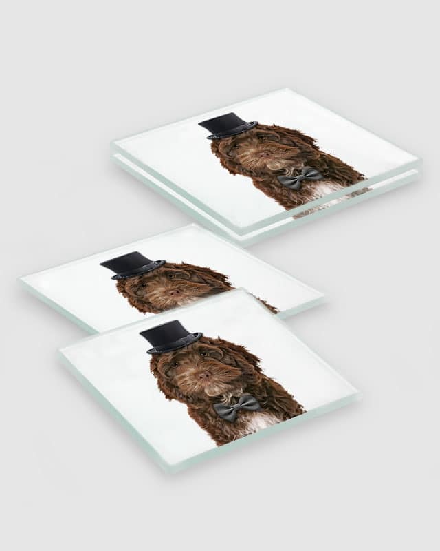 Chocolate Cockapoo Dog Coasters