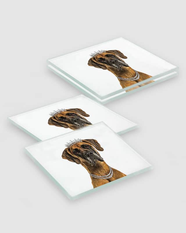 Fawn Great Dane Dog Coasters