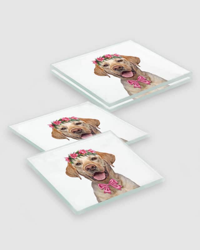 Golden Labrador Dog Coasters
