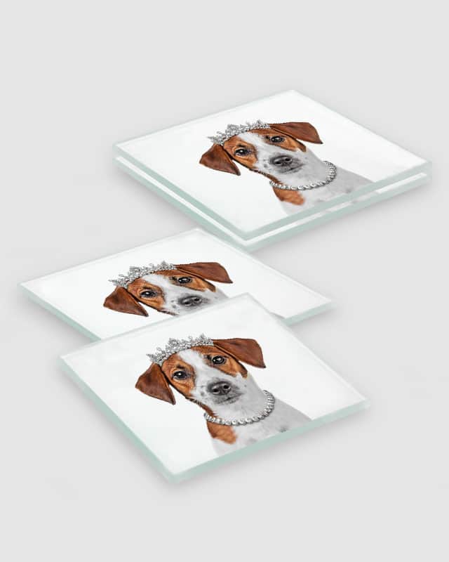 Jack Russell Dog Coasters