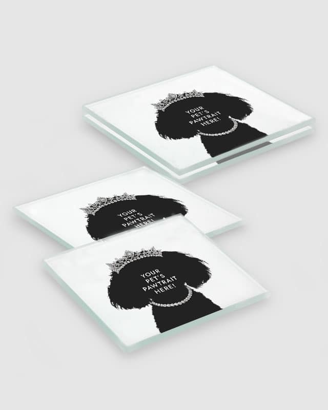 Personalised Pet Portrait Coasters The Princess