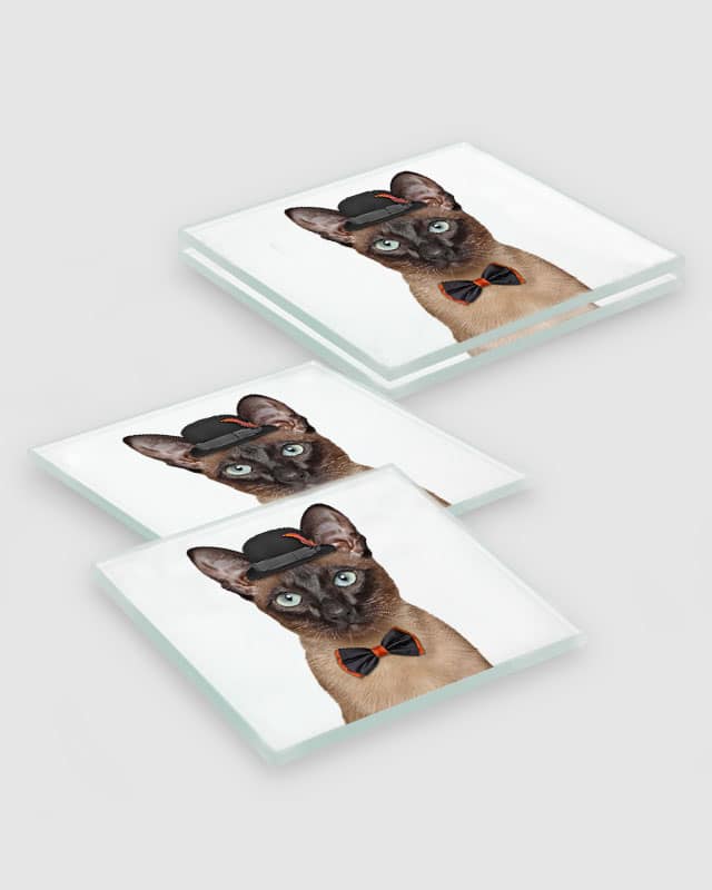 Siamese Cat Coasters
