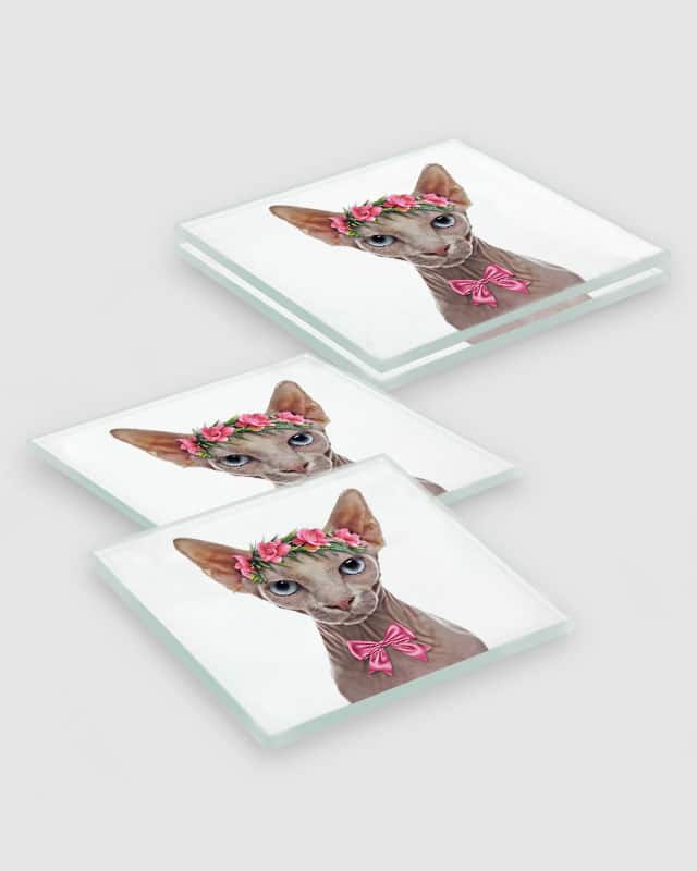 Sphynx Cat Coasters